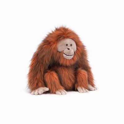 Jellycat Oswald Orangutan UK | 14792OZYE